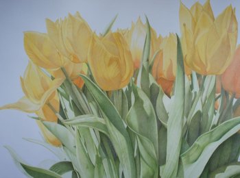 Kleurpotlood tekening gele tulpen Henny Addank