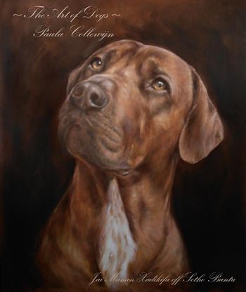 portret hond van hond
